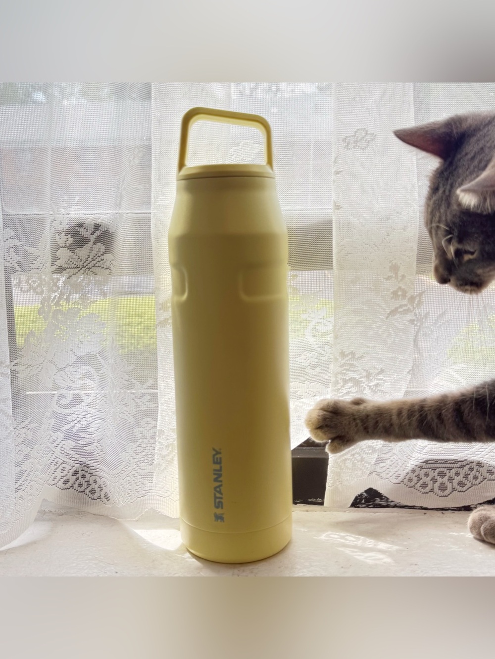 Stanley IceFlow Cap & Carry Water Bottle